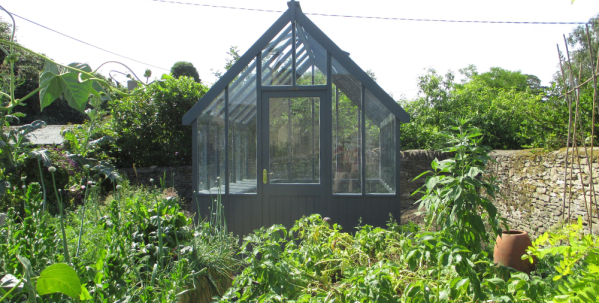 A Victoria Greenhouse in a garden A dark grey timber greenhouse surrounded by raised vegetable beds and thriving edible plants in a productive kitchen garden.