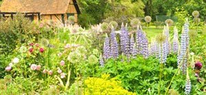 My Country Garden