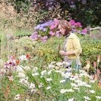 Belle Gardens